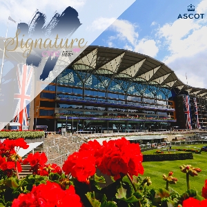 Image 14: Signature Wedding Show at Ascot Racecourse