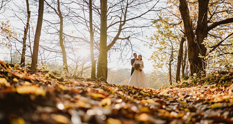 Crondon Park Wedding Show in February