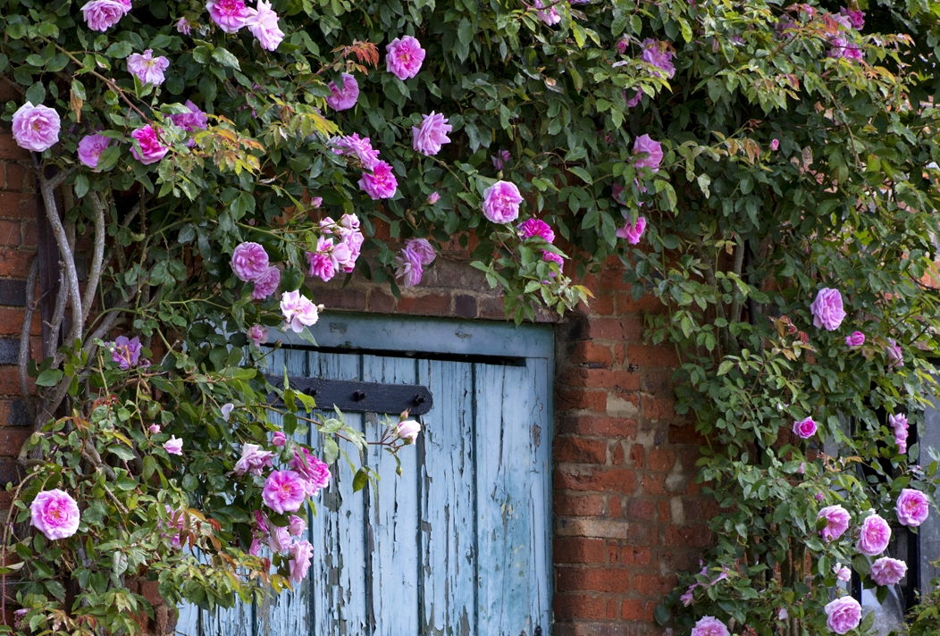 Image 5: Barn at Alswick Wedding Show