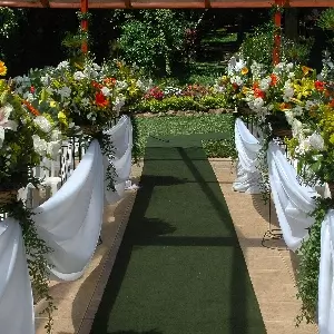 County Wedding Events Find a supplier category - Services