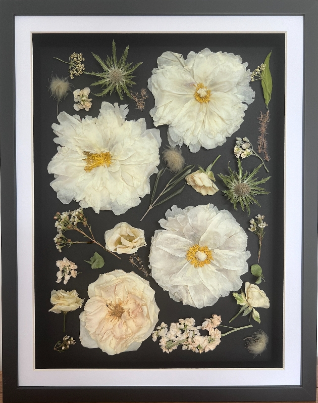 Come and see Daisy’s Flower Preservation at Bluewater: Image 2b